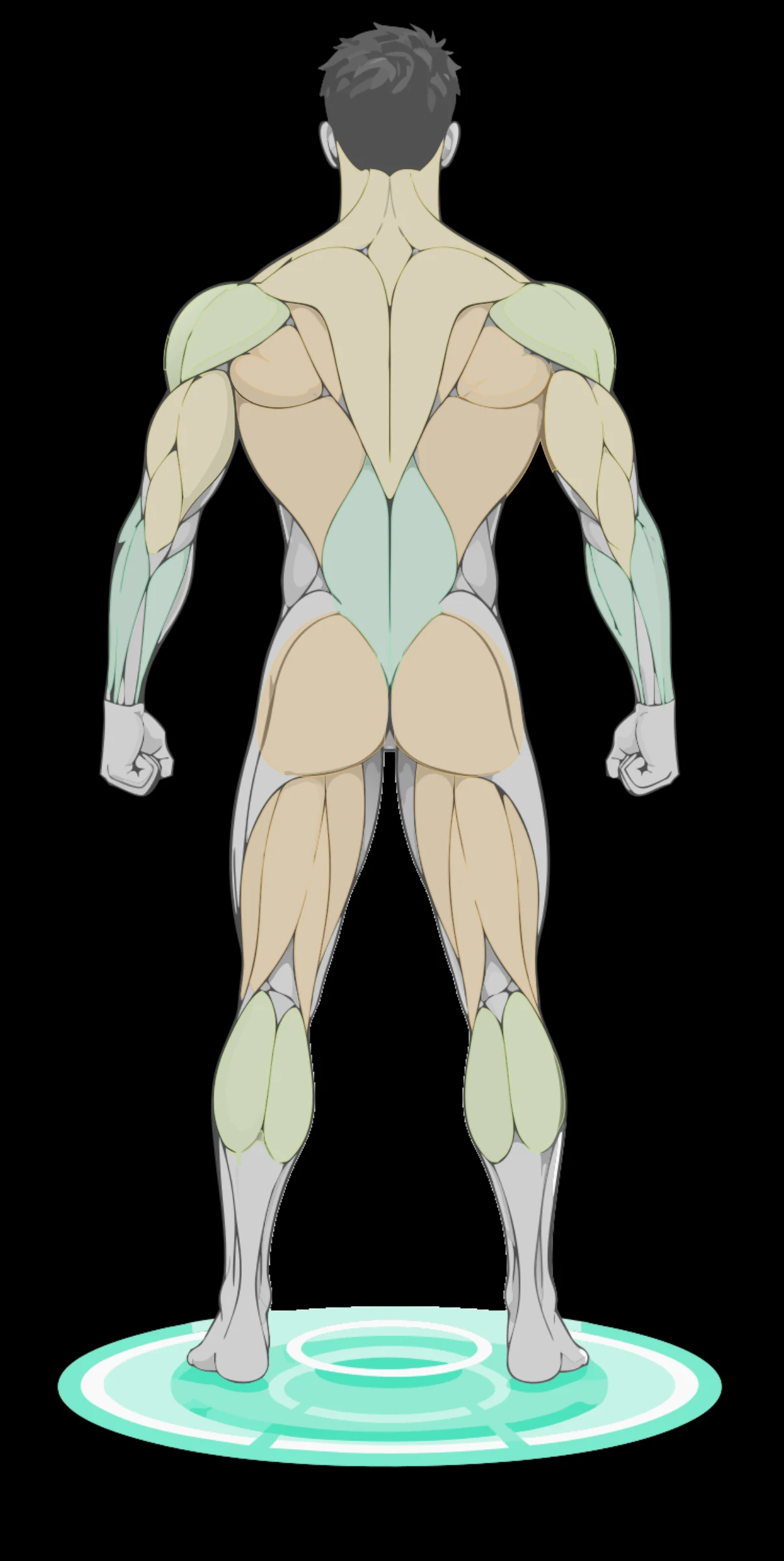 Current Gymmy Bodygraph back view using the supported man body choice in Dark appearance, complete from head and hands through feet and the full scanner platform