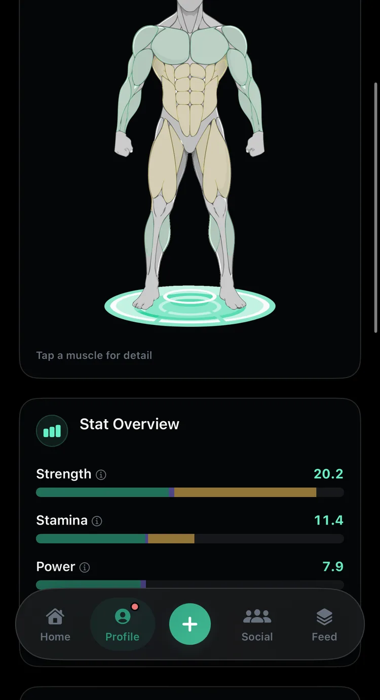 The Gymmy Body Graph: a figure with chest, arms, and legs shaded by recent training, above a Stat Overview showing Strength 20.2, Stamina 11.4, and Power 7.9